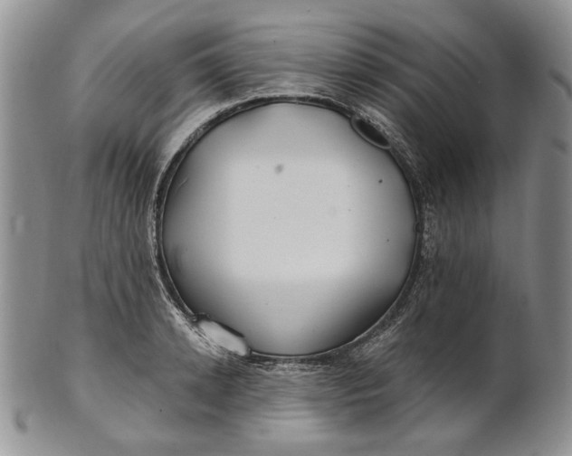 X0000100780942200807101813