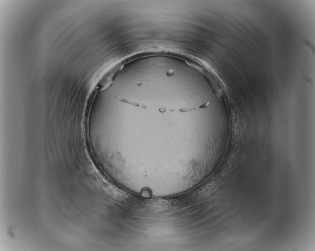 X0000100780943200807101813