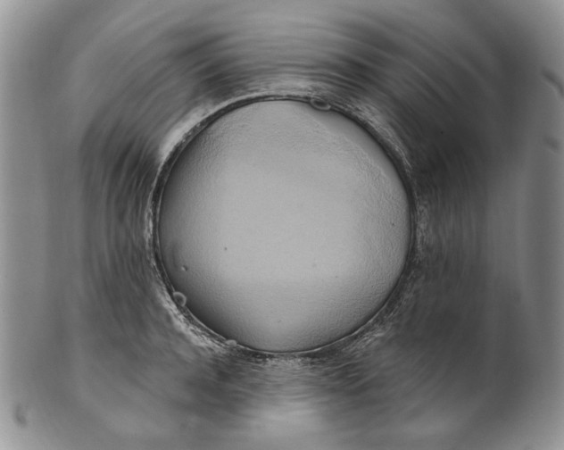 X0000100780944200807101813