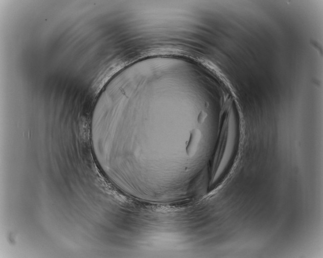 X0000100780945200807101813