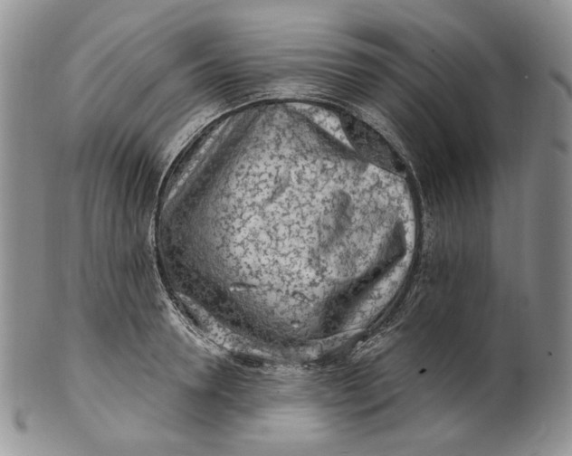 X0000100780946200807101813