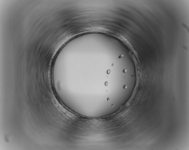 X0000100780947200807101813