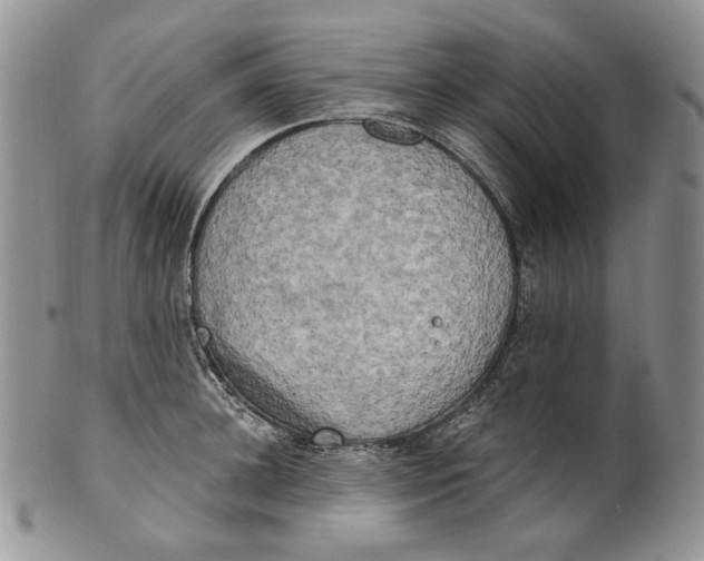 X0000100780948200807101813