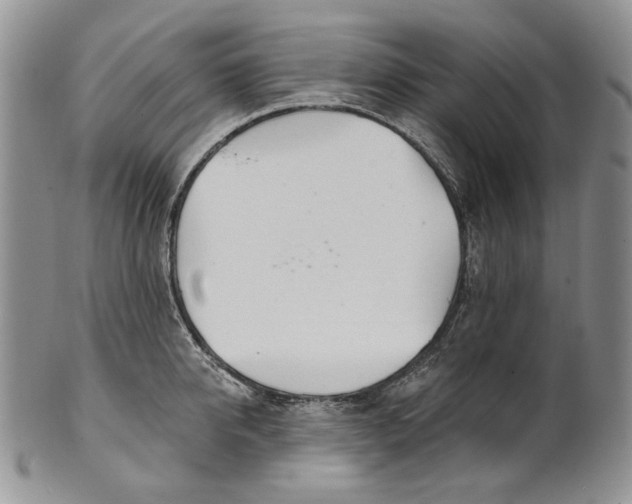 X0000100780950200807101813