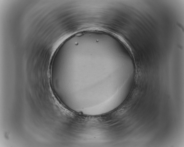 X0000100780951200807101813