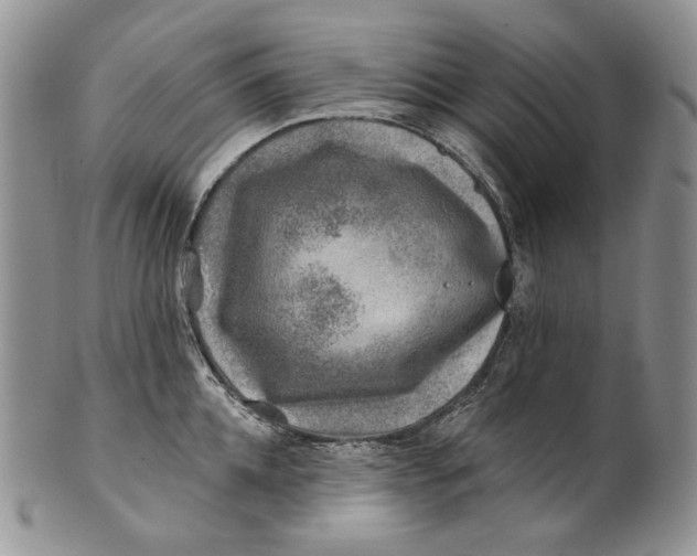 X0000100780952200807101813