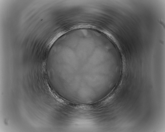 X0000100780953200807101813