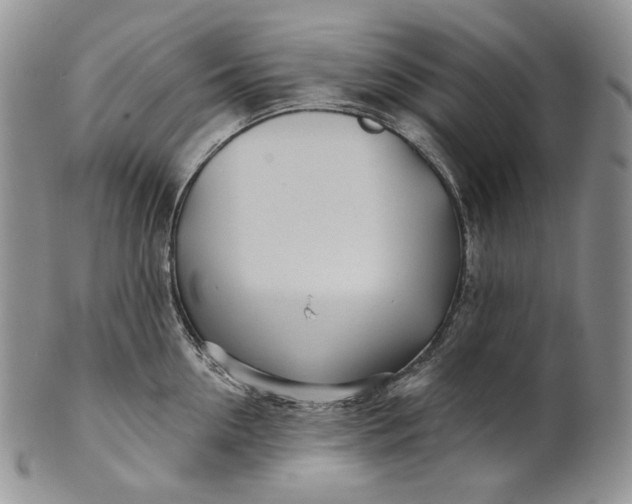 X0000100780954200807101813