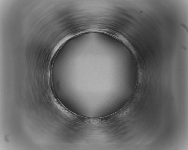 X0000100780955200807101813