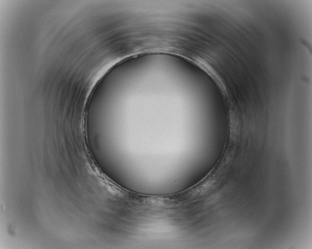 X0000100780956200807101813