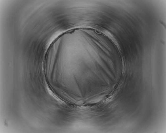 X0000100780958200807101813