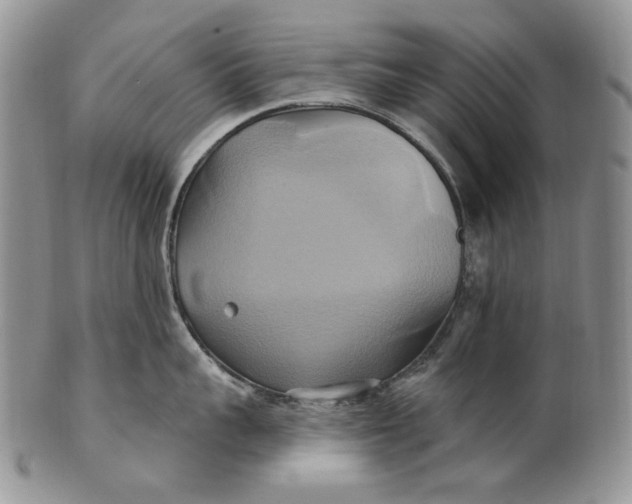 X0000100780959200807101813