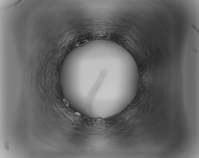 X0000100780961200807101813