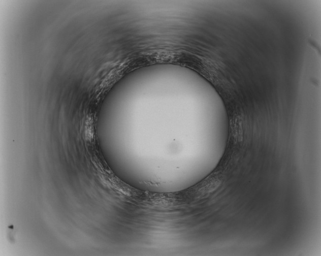 X0000100780962200807101813