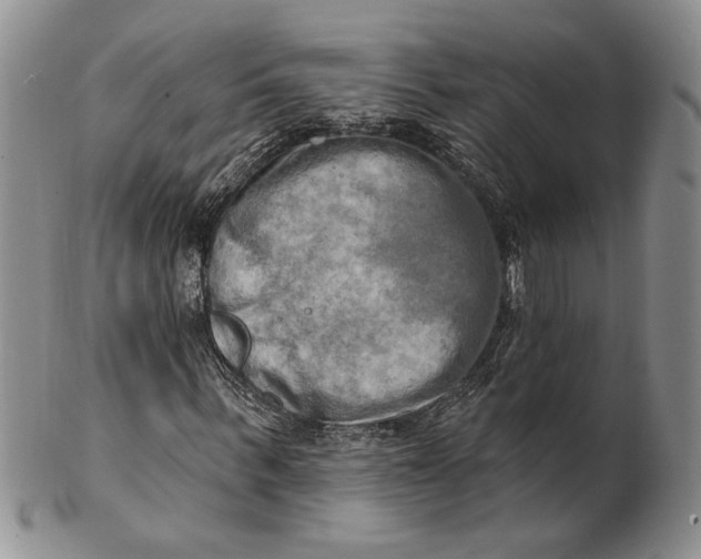 X0000100780963200807101813