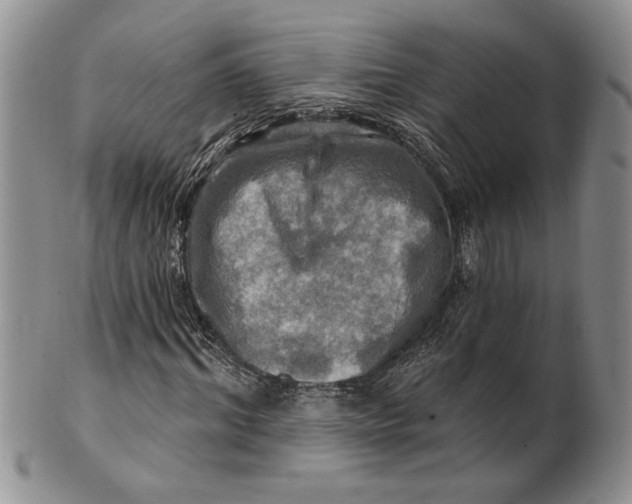 X0000100780964200807101813