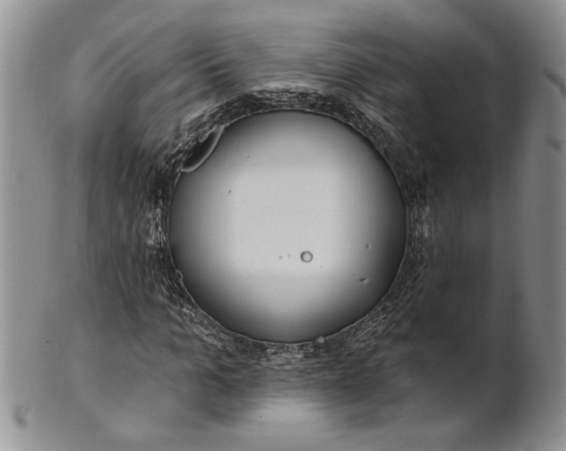 X0000100780965200807101813