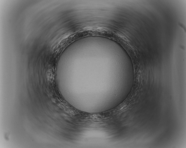 X0000100780966200807101813