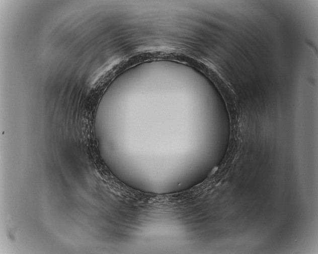 X0000100780967200807101813