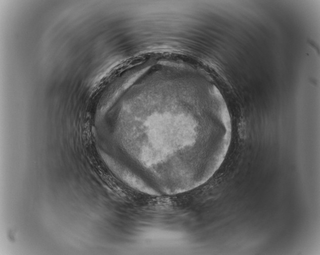 X0000100780968200807101813