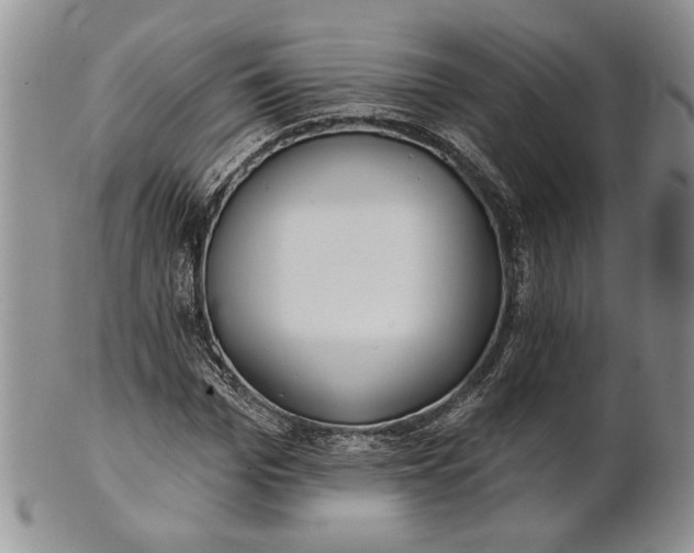 X0000100780969200807101812