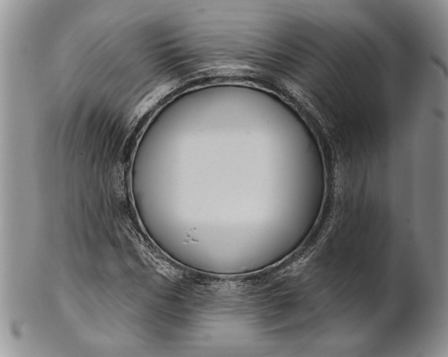 X0000100780970200807101812