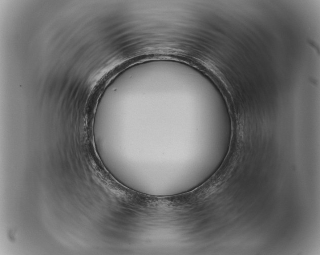 X0000100780971200807101812