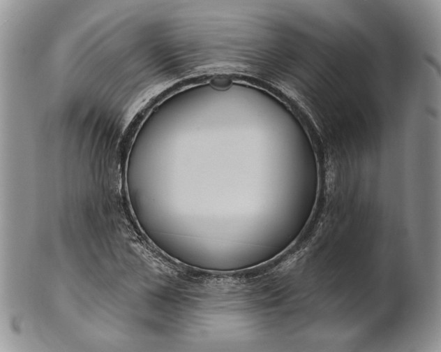 X0000100780973200807101812