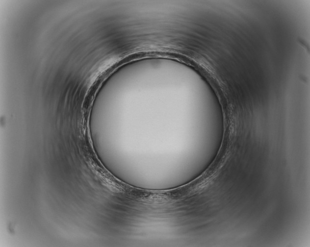 X0000100780974200807101812