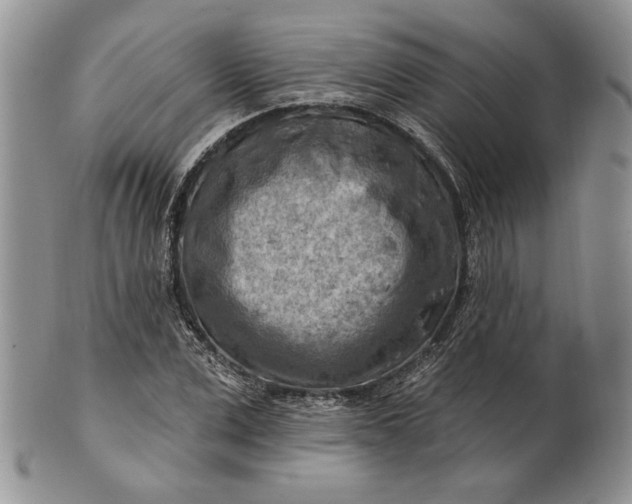 X0000100780975200807101812