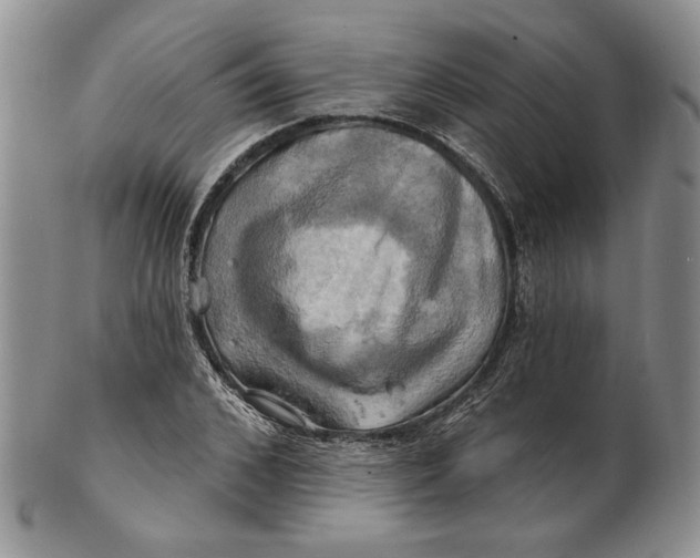 X0000100780976200807101812