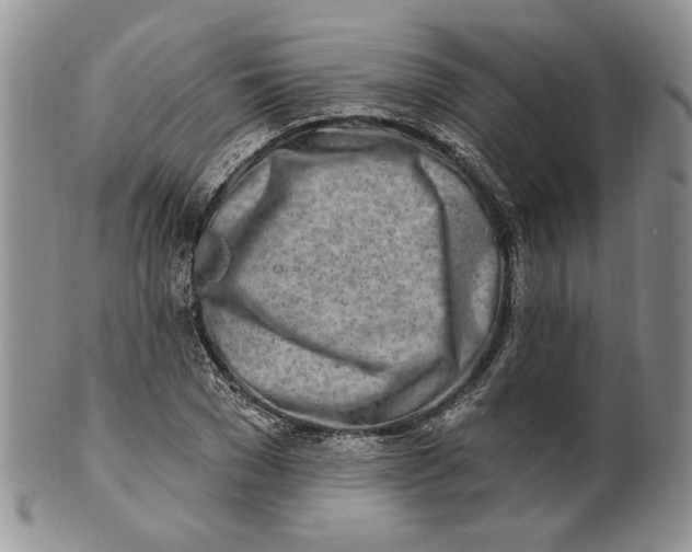 X0000100780977200807101812