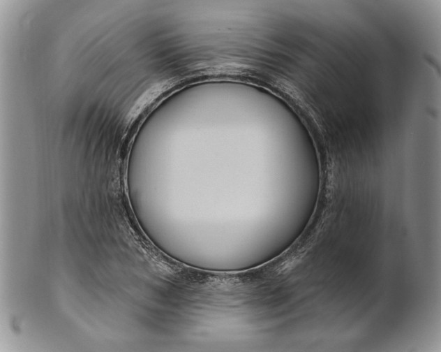 X0000100780978200807101812