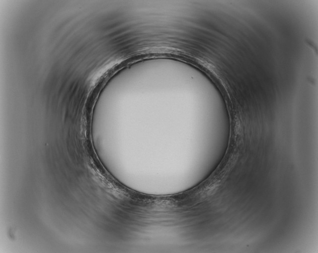 X0000100780979200807101812