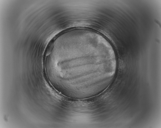 X0000100780980200807101812