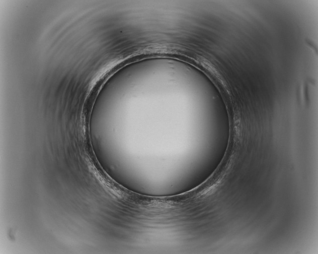 X0000100780981200807101812