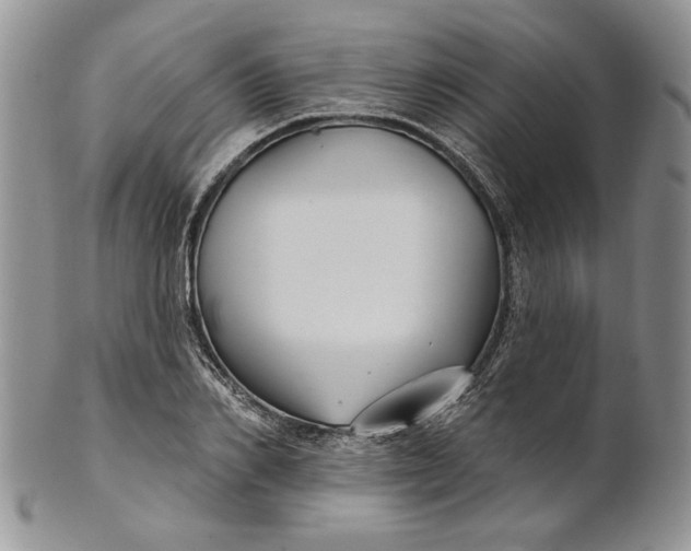 X0000100780982200807101812