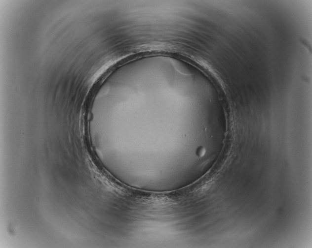 X0000100780983200807101812