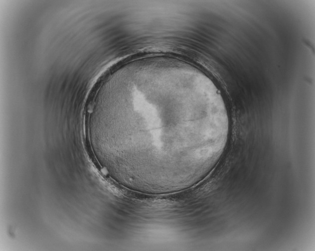 X0000100780984200807101812