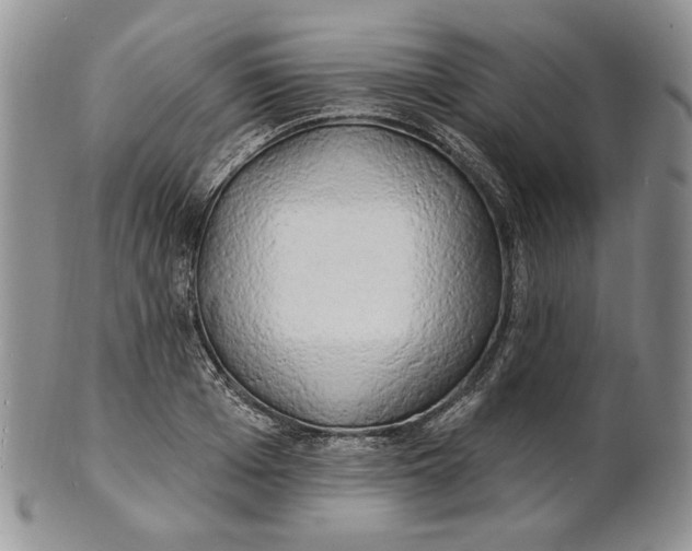 X0000100780985200807101812