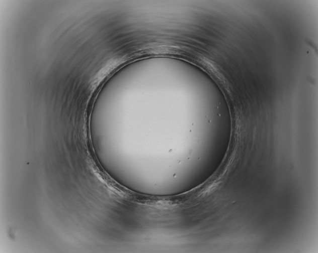 X0000100780986200807101812