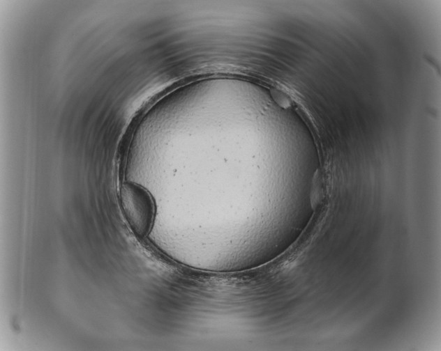 X0000100780987200807101812