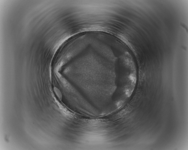 X0000100780988200807101812