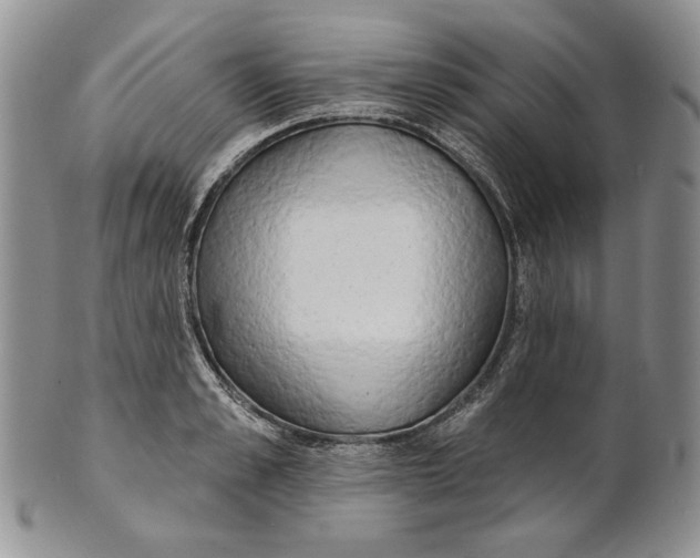 X0000100780989200807101812