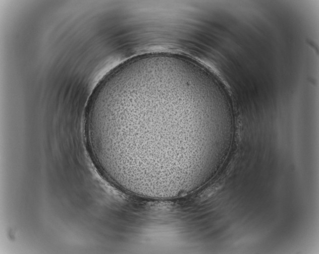 X0000100780991200807101812