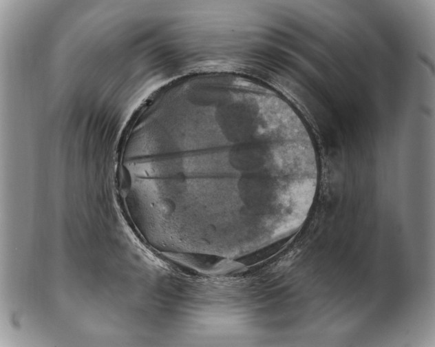 X0000100780992200807101812