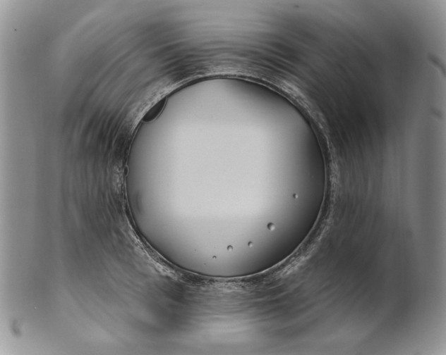 X0000100780993200807101812