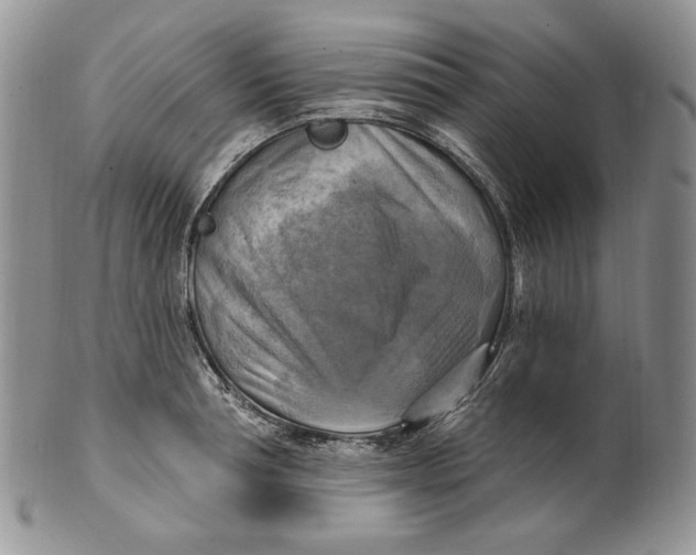 X0000100780994200807101812