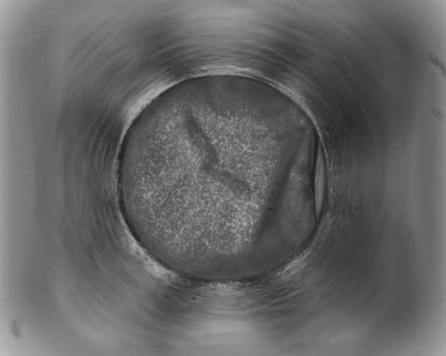 X0000100780995200807101812