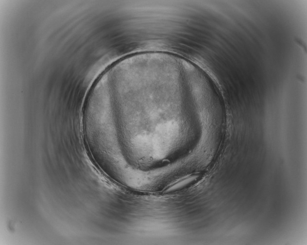 X0000100780996200807101812